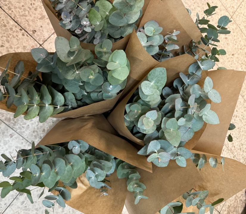 Meny Klarup tilbyder eucalyptus buketter til nedsat pris