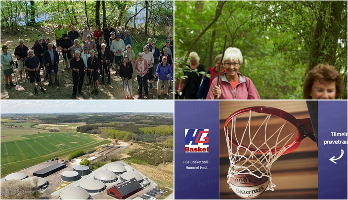 Ugens Aktiviteter i Hammel: Stavgang, Vandreture og Basketball