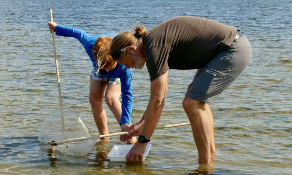 Fjordens Dag: Udforsk dyrelivet i Roskilde Fjord