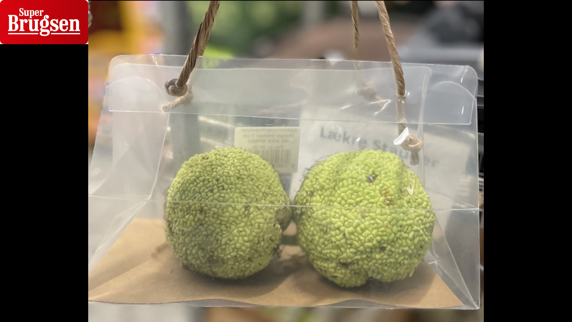 Hold edderkopperne væk med morbær fra Superbrugsen i Dronninglund