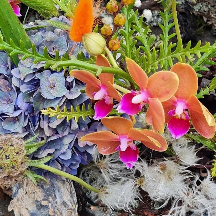 En finger på pulsen i Fredericia