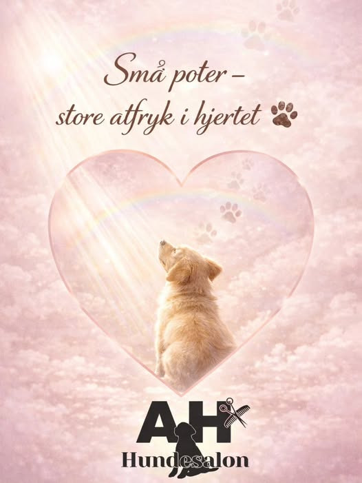 AH Hundesalon mindes kunder med kærlighed og taknemmelighed