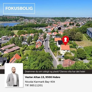 opslagsbillede