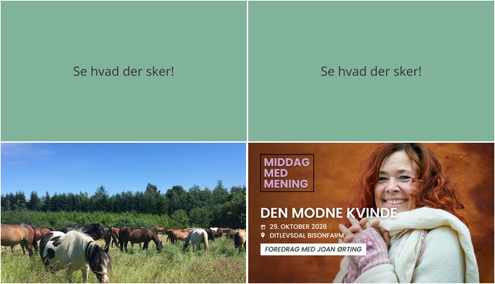 Hjemmets helte og kvindeliv: Oplevelser i Morud den kommende uge