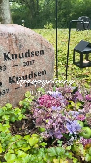opslagsbillede