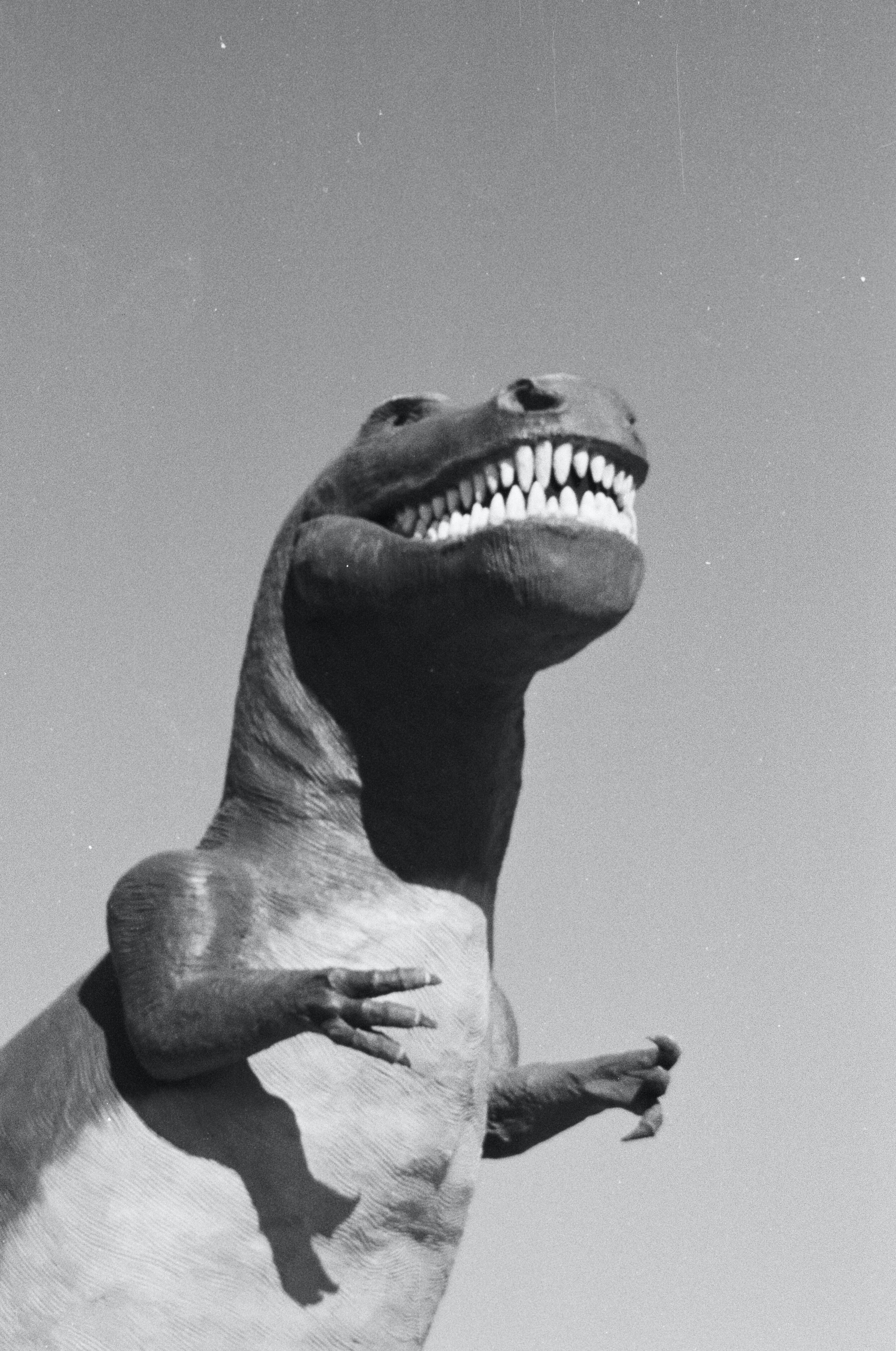 Bytorv Horsens nu med en kæmpe tyrannosaurus