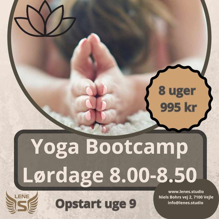 Opslagstavlen: Nyeste opdateringer fra Vejle