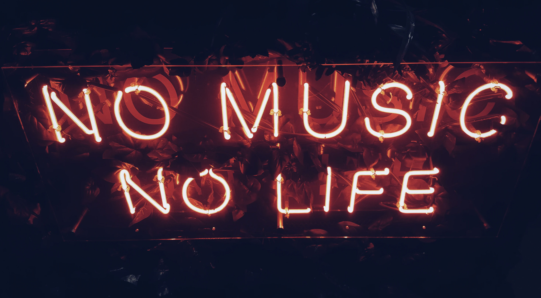 Nyd sommeren med 4 koncerter i Vesthimmerland