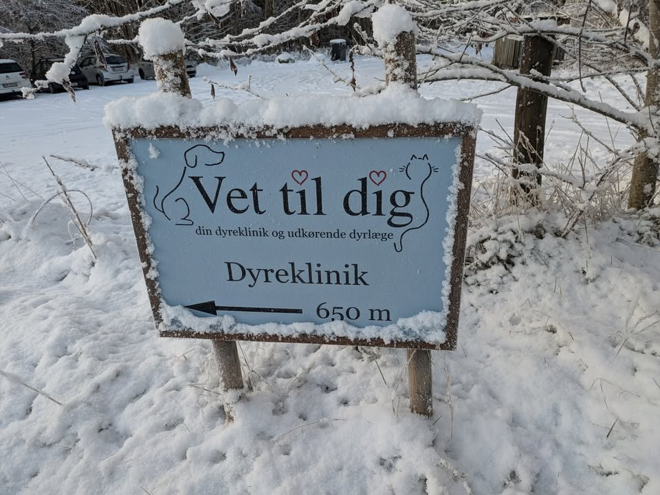 Vet til dig ønsker glædelig jul og minder om at passe på dyrene i juletiden