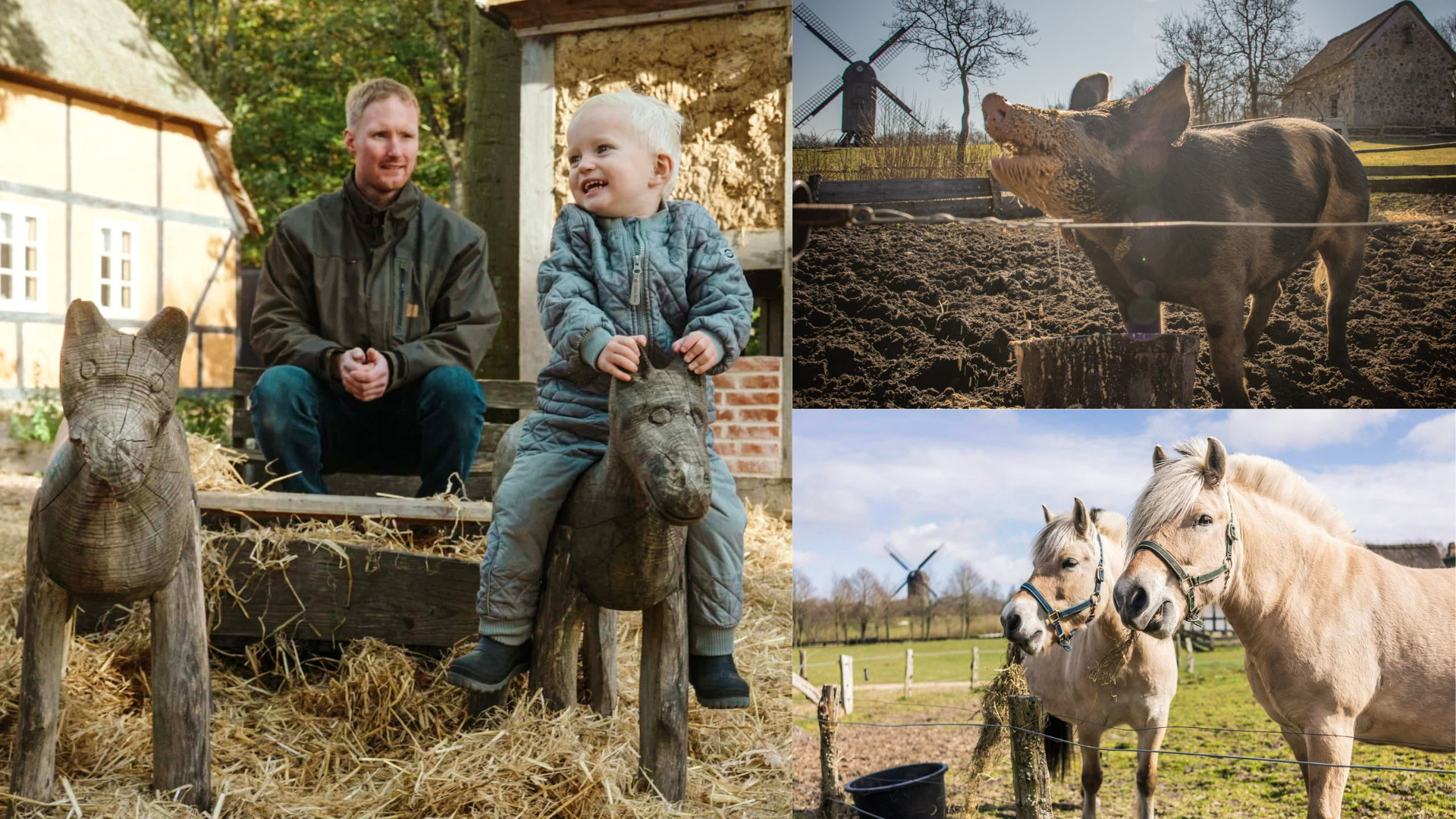 Hjerl Hede – Gå en tur i historiske omgivelser i lukketiden