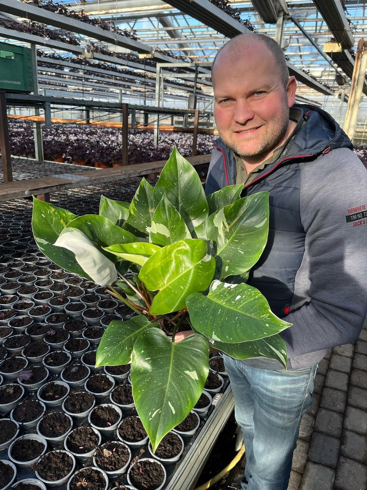 Opdatér dig her: Det nyeste fra Horsens