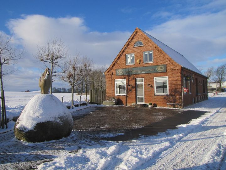 En finger på pulsen i Skive