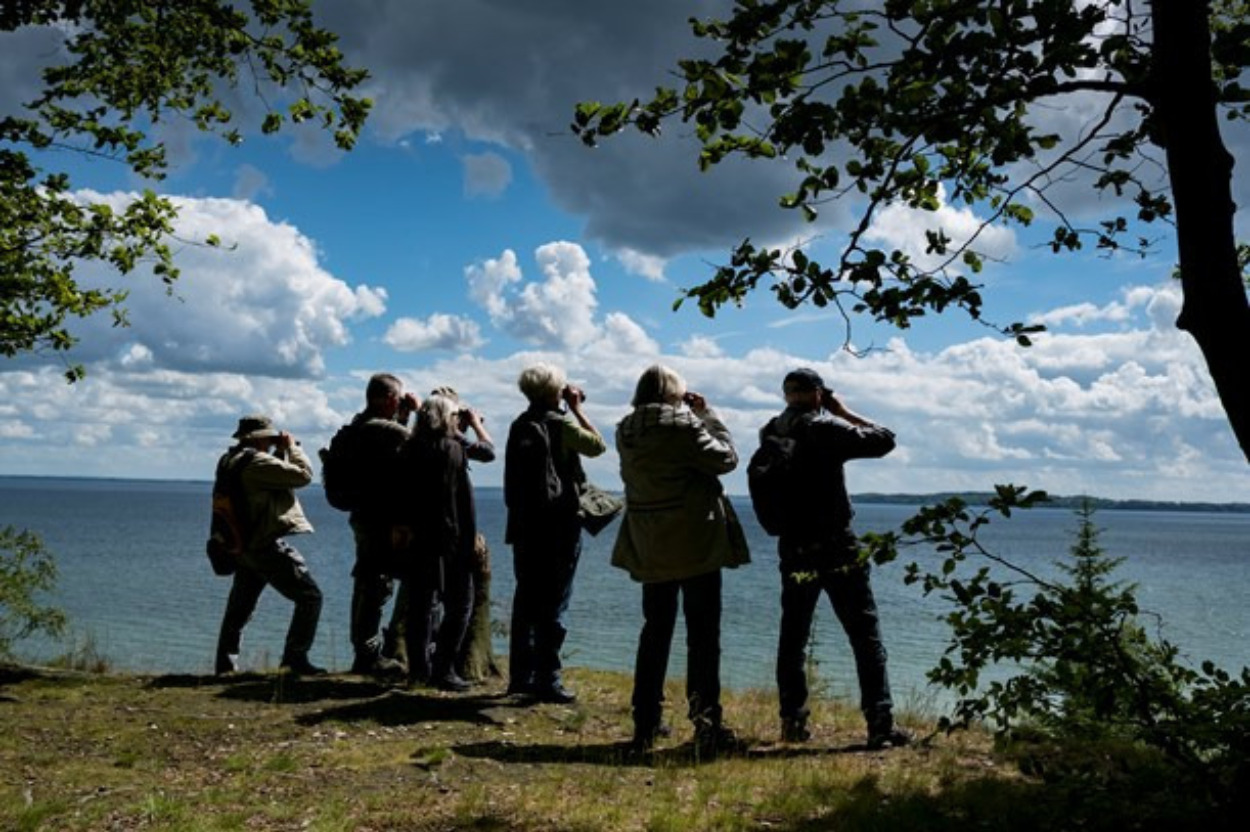 Nu bliver det nemmere at finde de gode oplevelser i Kolding