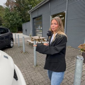 Opslagsbillede