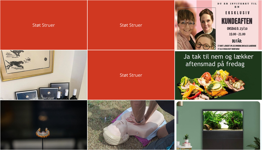 Nyt fra Holstebro Museum, NordVestBO, CAMILLAS DYRECENTER og 3 andre