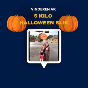opslagsbillede