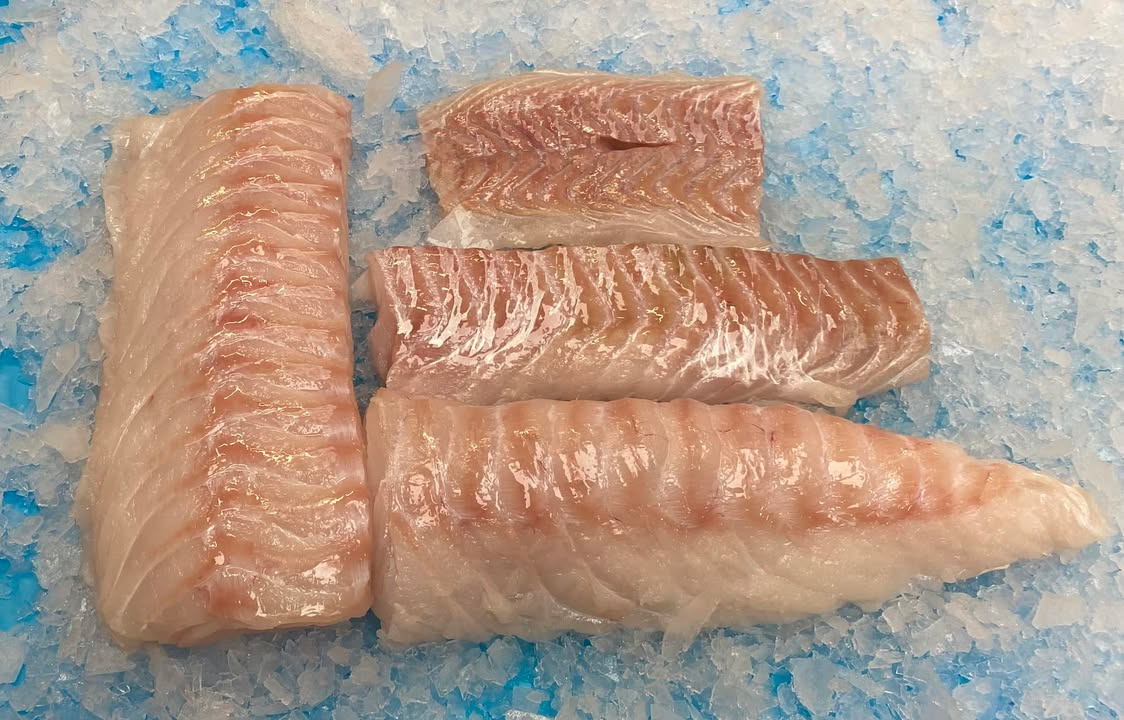 Hanstholm Auction Buyer præsenterer ugens fisk: Lange til ny pris i netbutikken