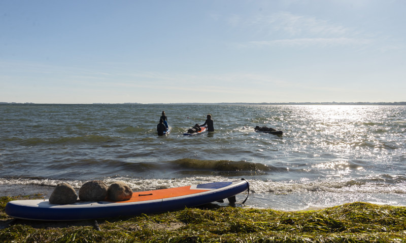 Elever fra Stensballeskolen styrker biodiversiteten med otte tons sten på SUP-boards ved Husodde Strand