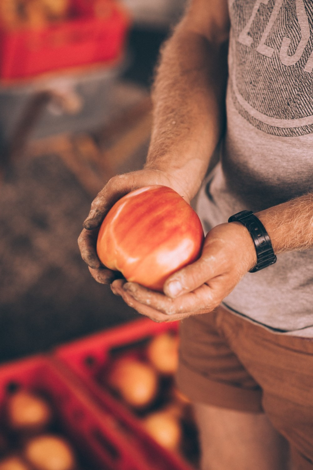 Grøntsagsfest på Øm Klostergaard: Høstfest med langbordsmiddag