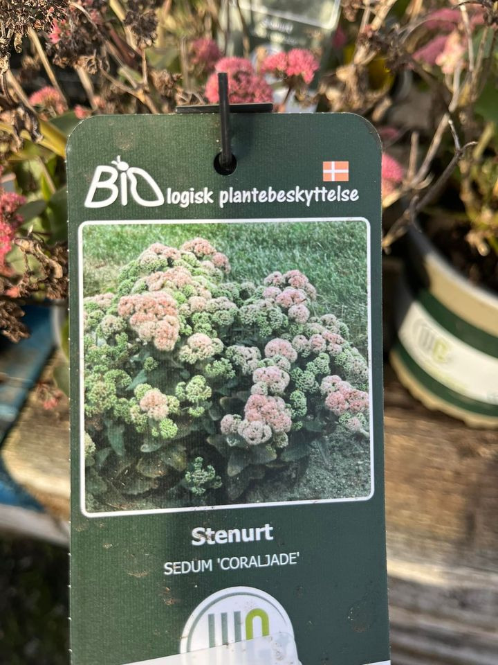 Se dagens updates fra Odder her