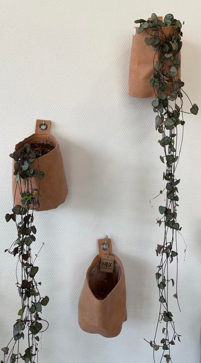 Hold trit med lokalområdet: Nyt fra Roslev