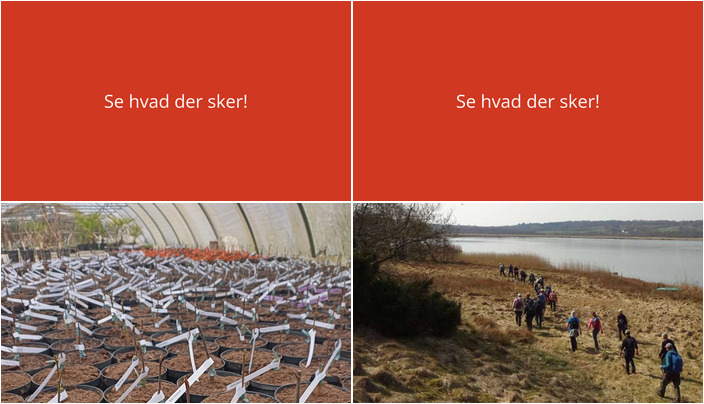 Oplevelser i Tjele denne weekend: Lær at pode og oplev naturskøn vandring