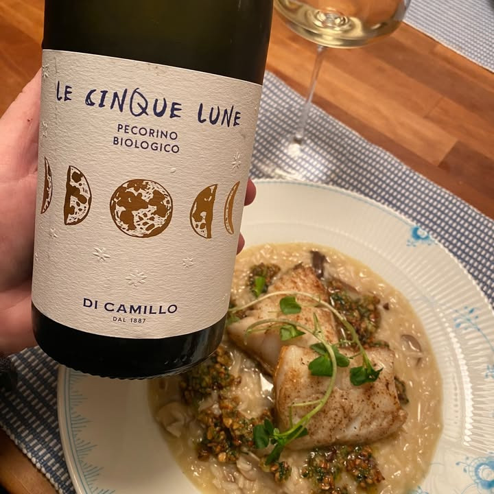 Ny økologisk Le Cinque Lune Pecorino 2023 fra Lahvino Wine & Spirits: Testet og godkendt til fisk og svamperisotto
