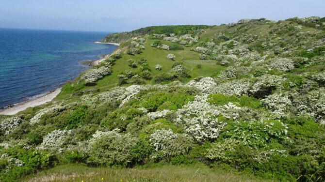 Oplev Røsnæs på en guidet vandretur