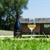 Lahvino Wine & Spirits introducerer Gorgo's første metodo classico spumante