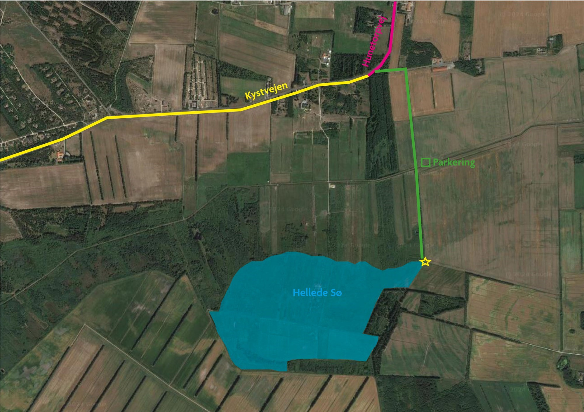Fra tørlagt landbrugsjord til blomstrende naturreservat: hellede sø genopstår med øget biodiversitet og CO2-besparelser
