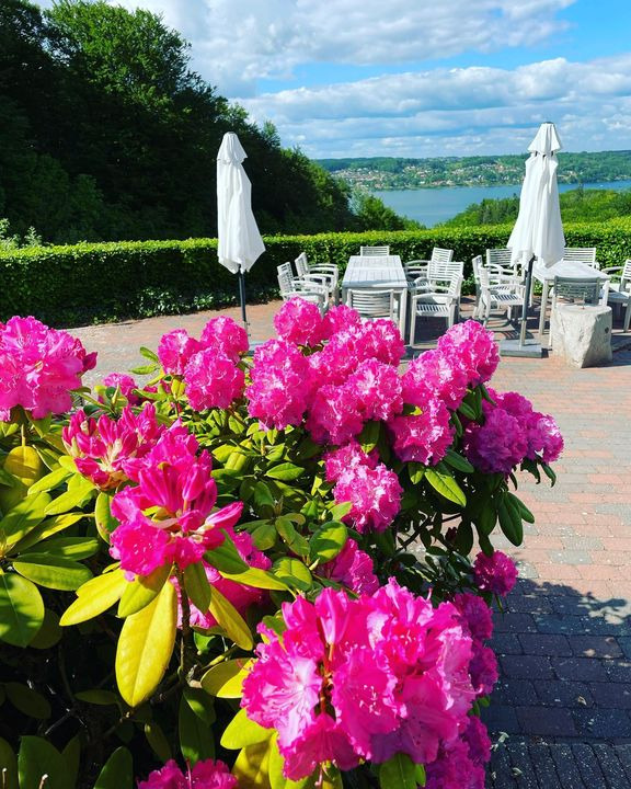 Nyt på opslagstavlen i Vejle