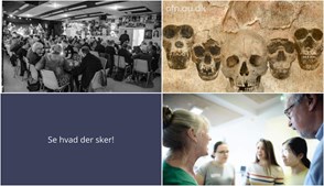 Ugens oplevelser i Ringe: Fra fællesskabsmiddag til fællessang og evolutionært foredrag