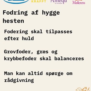 Opslagsbillede