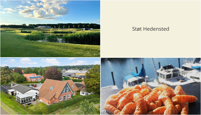 Nyt fra StensballeGaard Golfklub, Beringsslagteren ApS og EDC Hedensted