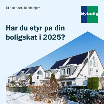 Opslagsbillede