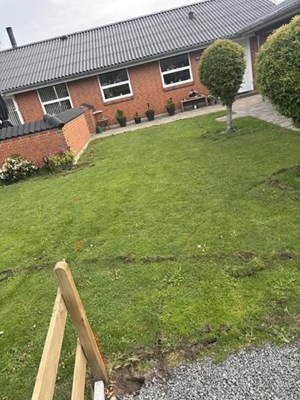 opslagsbillede