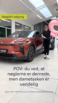Opslagsbillede