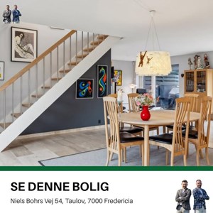 Opslagsbillede