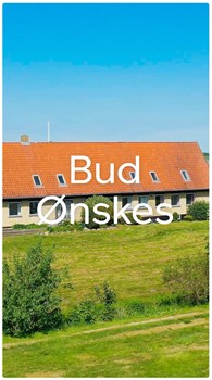 Opslagsbillede
