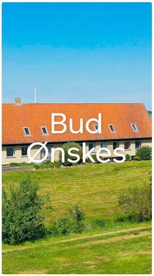 opslagsbillede