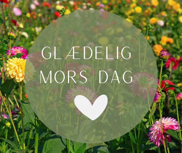 Hold trit med lokalområdet: Nyt fra Randers