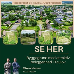 Opslagsbillede
