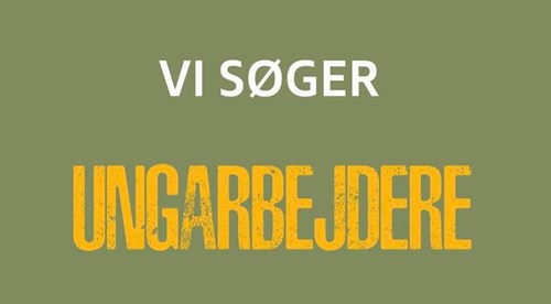 Opslagsbillede