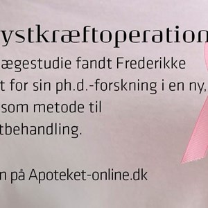 Opslagsbillede