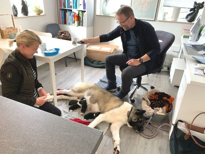 En finger på pulsen i Vejle