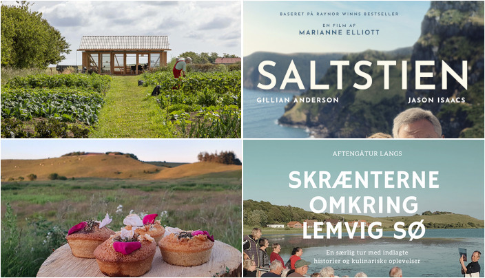 Sammen om natur, kultur og biografoplevelser i Lemvig - Se hvad der sker den kommende uge