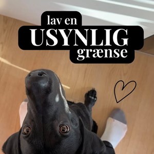 Opslagsbillede