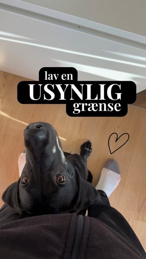 opslagsbillede