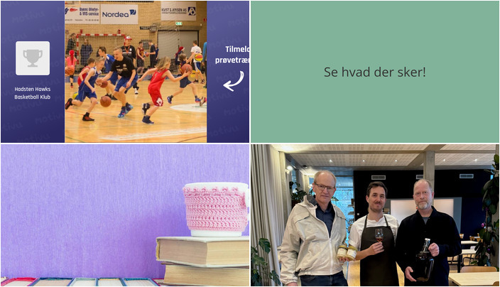 Uge med minibasket, litteratur og honning i Hadsten