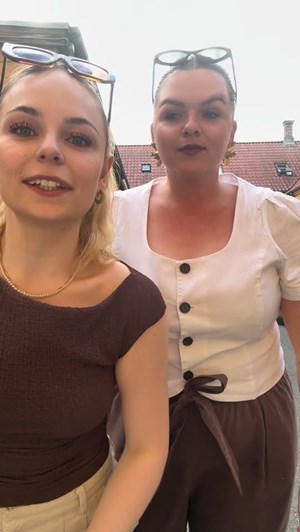 opslagsbillede